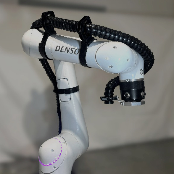 サイルベアフレックスコラボ