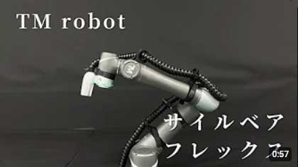 サイルベア・フレックス 取付例-TM